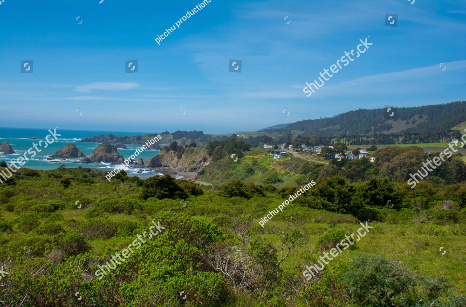 Green coastal hills meeting the Pacific